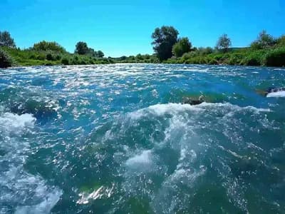 Natural spring-fed river, illustrating the difference between spring water and alkaline water sold in Las Vegas